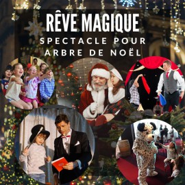 Spectacle magie enfants Lyon - Magicien Lyon - Spectacle pour enfants - Arbre de Noël