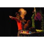 spectacle cirque Lyon avec poules - Volailles - Cocottes - Coq - Pintade - Oiseaux - Animaux thème cirque
