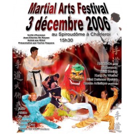 spectacle-art-martiaux-lyon-demonstration-exhibition-attractions-chinoises-taos-combats-acrobaties