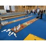 Olympiades Jeux enfants
