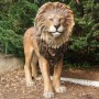 lion-statue-grandeur-nature-resine-fibre-de-verre-jungle-savane-animaux-sauvage-taille-reelle-fauve-roi-lyon