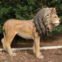 lion-statue-grandeur-nature-resine-fibre-de-verre-jungle-savane-animaux-sauvage-taille-reelle-fauve-roi-lyon