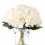 location-hortensia-fleur-blanche-artificielle-decoration-mariage