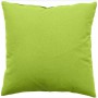 location-coussin-40x40-cm-vert-anis-lyon
