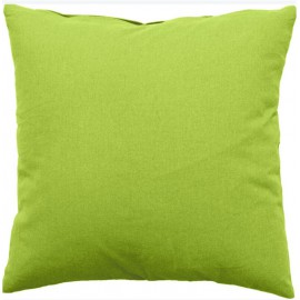 location-coussin-40x40-cm-vert-anis-lyon