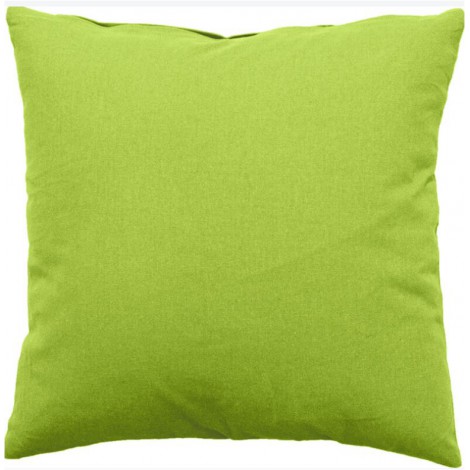 location-coussin-40x40-cm-vert-anis-lyon
