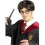 location-lunettes-harry-potter-deguisement-adulte-lyon-69