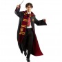 location-lunettes-harry-potter-deguisement-homme-lyon-rhone-alpes-69