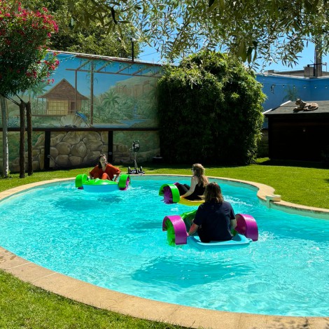 Pédalos et petits bateaux à pédales pour enfants à Lyon - Animation enfants Garden Party et événement d'entreprise en extérieur 