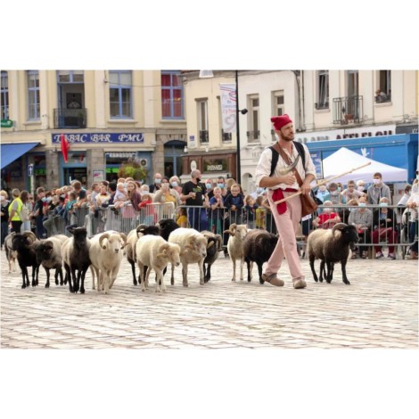 spectacle-animalier-animaux-parade-moutons-deambulation-comediens-chien-animation-rurale-bergerie