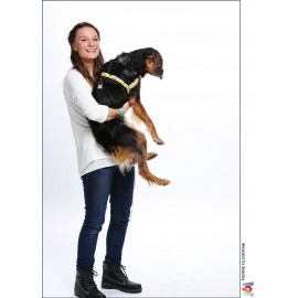 Spectacle avec un chien - Show Dog - Spectacle avec animal domestique - Animation canine