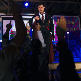 spectacle-harry-potter-lyon-pour-arbre-de-noel