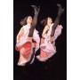 Danseuses jumelles - Duo danse jumelle - spectacle de danse Lyon