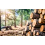 location-decor-naturel-nature--montagne-buche-de-bois-deco-noel-tronc-arbre