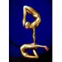 Contorsionniste Lyon - Spectacle de cirque avec contorsion - Acrobate contorsionniste - Artiste élastique