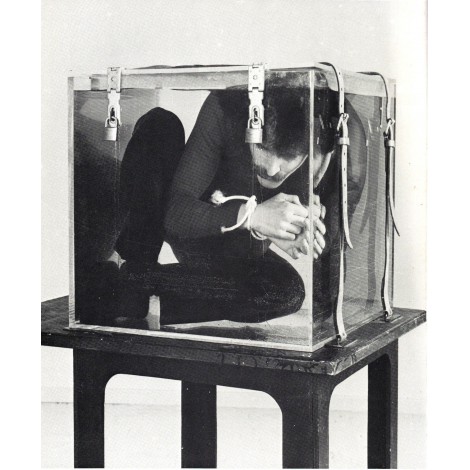 rino-baldi-magicien-numero-escapologie-escapologiste-tour-numero-d-evasion dans un cube d'eau