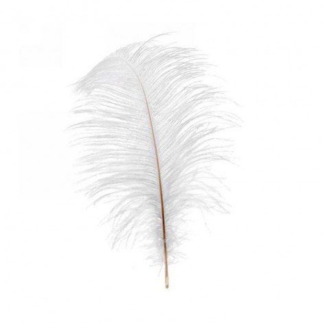 Plumes d'Autruche