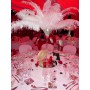 Plumes d'Autruche