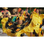 danseuse-de-sega-spectacle-danse-sega-ile-de-la-reunion-ile-maurice-animation-creole