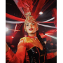 danseuse-cirque-circus-sexy-dance-show-spectacle-danse-performances