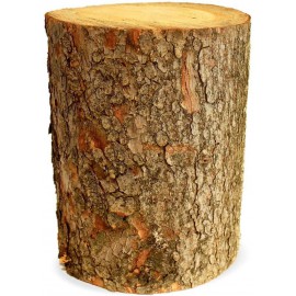 location-decor-naturel-nature--montagne-buche-de-bois-deco-noel-tronc-arbre