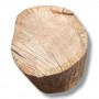 location-tabouret-assise-table-basse-bois-geant-avec-ecorce-decoration-nature-montagne-noel-lyon