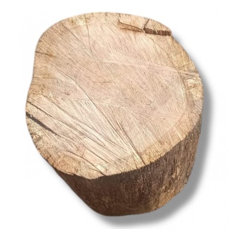 location-tabouret-assise-table-basse-bois-geant-avec-ecorce-decoration-nature-montagne-noel-lyon