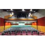 organisation-evenement-spectacle-arbre-de-noel-salle-edouard-herriot-palais-de-la-mutualite-lyon