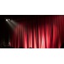 organisation-evenement-spectacle-arbre-de-noel-salle-paul-garcin-lyon