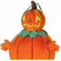 location-deguisement-halloween-citrouille-geatnte-mascotte-peluche-lyon-theme-orange-vert