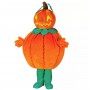 location-deguisement-halloween-citrouille-geatnte-mascotte-peluche-lyon-theme-orange-vert