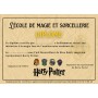 animation-harry-potter-spectacle-magie-anniversaire-lyon