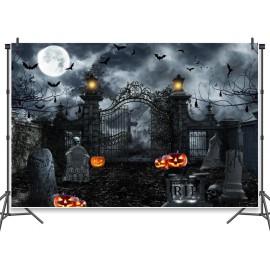 location-decoration-halloween-toile-de-fond-etrange-mystere-theme-lyon 