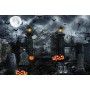 location-decoration-halloween-toile-de-fond-etrange-mystere-theme-lyon 