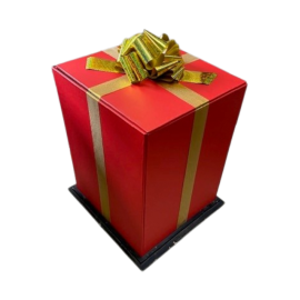 cadeau-geant-originale-anniversaire-insolite-evg-evjf-lyon - Spectacle