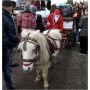 arrivée pere noel en poney et caleche sulky