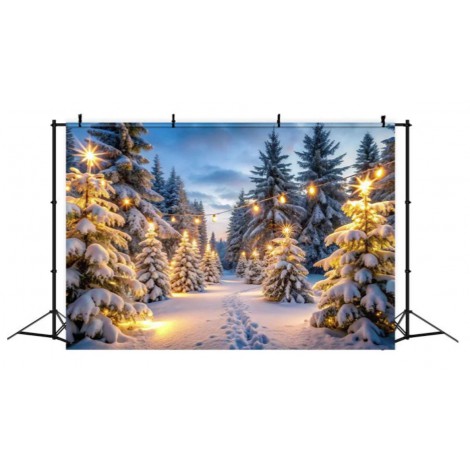 location-toile-de-fond-decoration-foret-enneigee-montaghne-nature-guilande-de-lumière-lyon-hiver-merveille