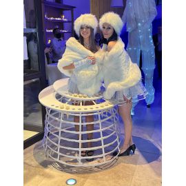 Service-cocktail glacé- animation événementielle - Animation insolite avec boissons thème hiver neige, givrée