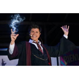 spectacle-harry-potter-lyon-pour-arbre-de-noel