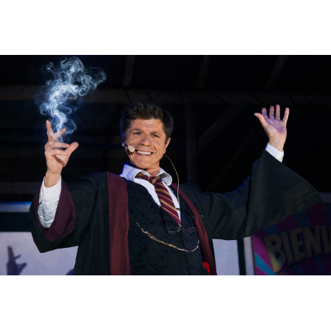 spectacle-harry-potter-lyon-pour-arbre-de-noel