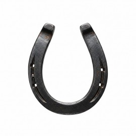 location-Jeu du lancé de fer à cheval Lyon - Jeux Western - Jeu de cow boy - animation Far West - jeu de lancé