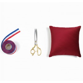 realisation-d'inauguration-et-ceremonie-officielle-a-lyon