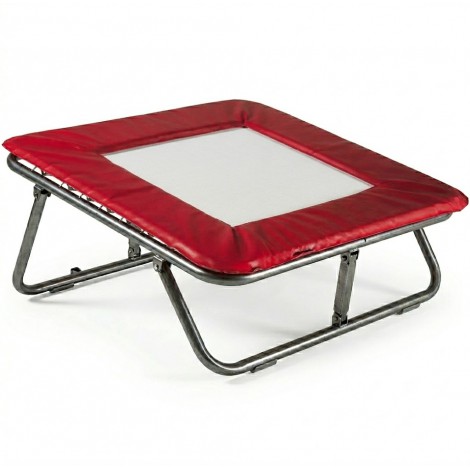 mini Trampoline