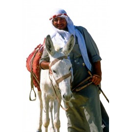 location-ane-pour-soirée à thème-lyon-évènementielle - Animation originale 