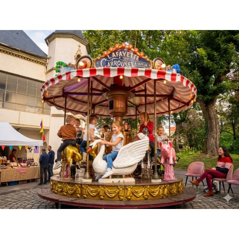 location-carroussel-lyon-animation-fete-foraine-enfants-mini-manege