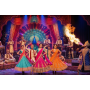 spectacle-bollywood-lyon-danseuses-indiennes-danseur-hindou-animation-theme-inde-show-modern-dance-indi