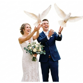 lâché de colombes à lyon - Oiseaux blanc pour mariage
