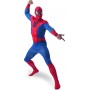 Spider Man Lyon - Animation Spiderman - Anniversaire thème Spider Man - 
