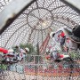Boule de la mort - Spectacle et acrobaties à moto dans un sphère géante - Acrobaties à moto