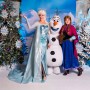 Anniversaire Reine des Neiges - Elsa Anna et Olaf - Animation Thème reine des neige Lyon